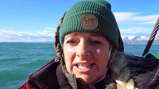 Iceland Ring Road: Day 4 | Whale Watching (with 5 kids) смотреть онлайн