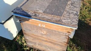 Почти финальные работы по подготовке пчёл в зиму