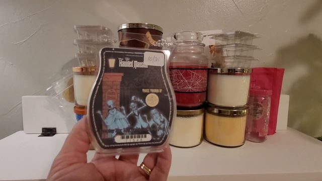 Monthly Meltdown! November 2022 Wax Empties - Scentsy, Destination Wax, Pink Zebra, BBW, etc смотреть онлайн