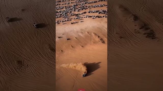 Desert Drive смотреть онлайн