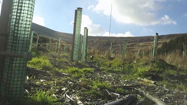 Julian Sartorius - Beat Diary - Holme Moss смотреть онлайн