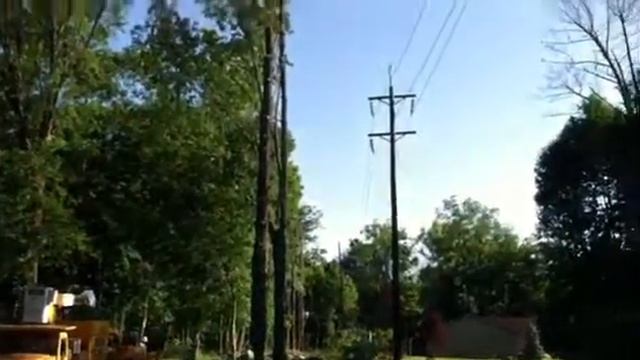 Young man cutting down trees in my yard. смотреть онлайн