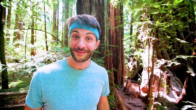 Bert Badger Visits REDWOODS | Nice to Meet You | Family Fun | Bert Badger смотреть онлайн