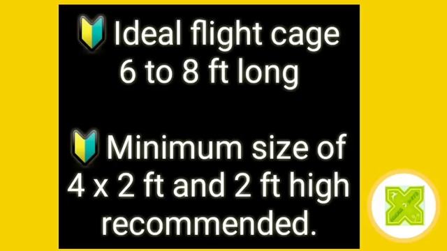 Green Cheek Conure Farming A to Z Business Plan in Hindi. Pineapple Conure Farming & Breeding Cages смотреть онлайн