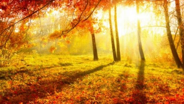 Осенний хоровод.mp4 смотреть онлайн