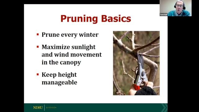 2023 Spring Fever Garden Forums: Growing Apples in North Dakota смотреть онлайн