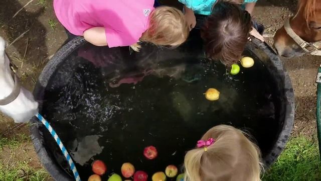 Horse Apple Bobbing смотреть онлайн