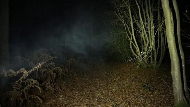 Olight Marauder II - 14,000 Lumen Floodlight + Spotlight смотреть онлайн