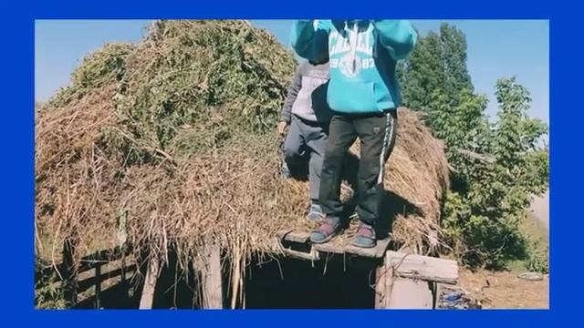 Сальто от Dancho Kz смотреть онлайн