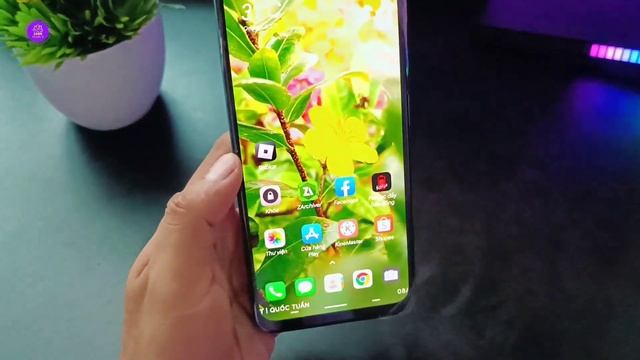 Cách Vào Roblox Blox Fruit Khi Bị Lỗi Kết Nối Điện Thoại Android Và Iphone Thành Công 100% | Roblox смотреть онлайн