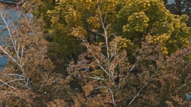 iPhone 15 Pro Max: Log vs Color Graded Test Video смотреть онлайн