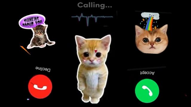 cats 📞Apple ringtone 2024 // iPhone 15 #iphone #ringtone #cats /best apple🍏iPhone ringtone ♥️ смотреть онлайн