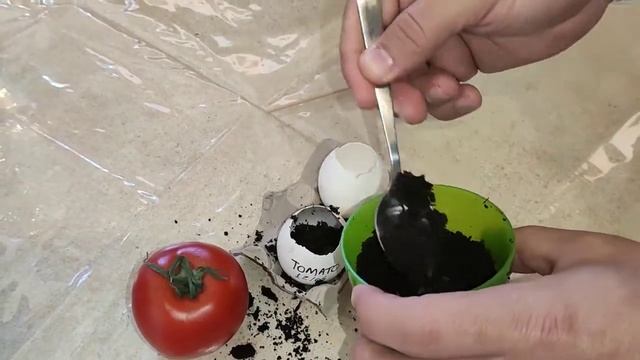 Planting Tomatoes Day 1 Eng смотреть онлайн