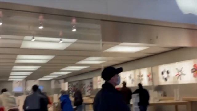 iPhone 12 Pro Express Pickup - Mall Shopping in US - Apple store visit - USA Telugu Vlogs смотреть онлайн