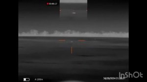 12. Охота на шакала в Ростовской области, выстрел на миллион. Карабин CZ 557 .308win, прицел Guide