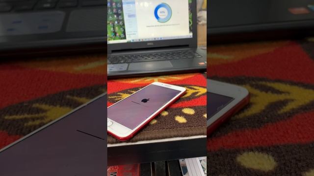 iPhone 7 Plus 15.7.1 Latest Version Restore Flashing Done Without LCD Issues смотреть онлайн
