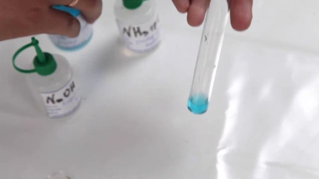 Качественная реакция на медь. Задание 4. Химия ОГЭ смотреть онлайн