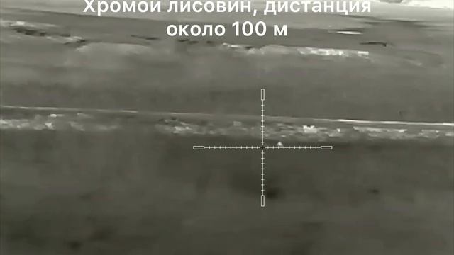 12. Охота на хищника в Волгоградской области, карабин R-715, прицел Iray Saim SCT35 смотреть онлайн