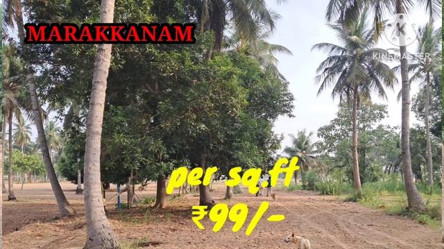 Farmland /low price@ Marakkanam 1 sq.ft 99/- only 7305649439 смотреть онлайн