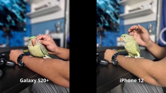 iPhone 12 VS Galaxy S20+ Camera Comparison Photos only смотреть онлайн