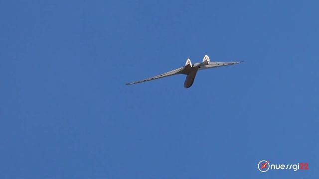 unique Beljajew BP-3 SCALE 1:2 VINTAGE GLIDER THE SOVIET FLYING WING смотреть онлайн