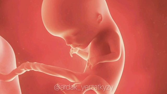 Жүктілік күнтізбесі 11-апта/Нәресте жынысын қашан білеміз смотреть онлайн