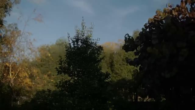 HDR Video demo, Magic Lantern v2.3 смотреть онлайн