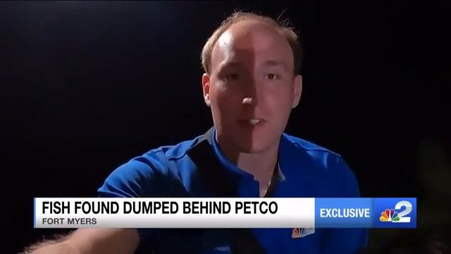 Live animals found thrown in dumpster behind Fort Myers pet store смотреть онлайн