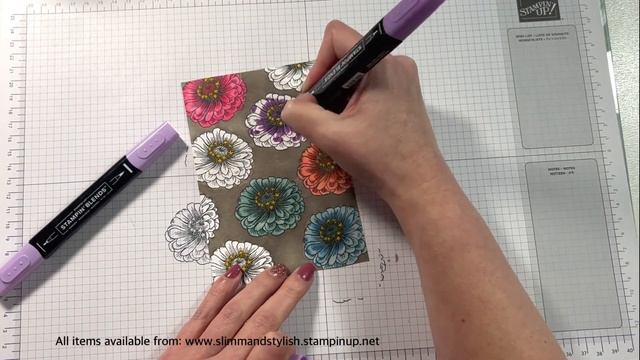 Stampin’ Up! Online Exclusive Simply Zinnia Blended Card смотреть онлайн