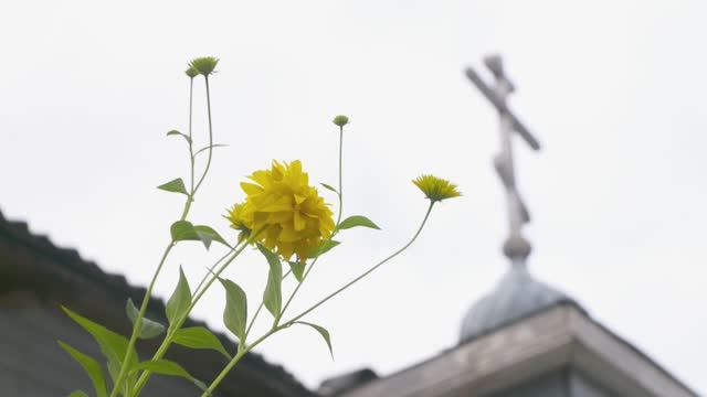 По святым местам Терского берега, Мурманская область смотреть онлайн