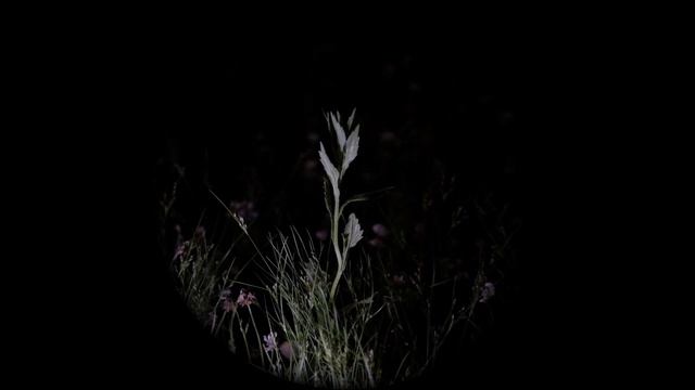 「Ogen/blik」 Piano Ryo Yamada Film Tatsuya Maruyama смотреть онлайн