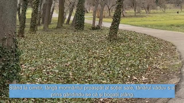 După Ce A Primit Moștenirea Soției Sale, Bogatul A Angajat O Vagaboandă Ca Asistentă Pentru Fiul Să
