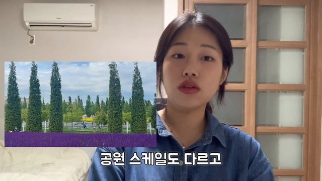 러시아 교환학생 Q&A | 비용? 친구 사귀는 법? 전쟁통에 갔다온 러시아 교환학생 썰 🐝 다 알려 드립니다 🇷🇺📝