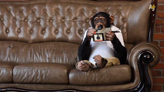 Apple Watch, Google Glass & Other Wearables Big Tech Wants You to Want смотреть онлайн