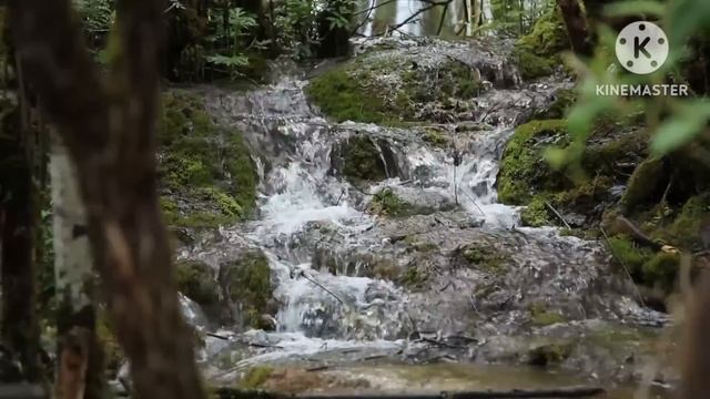 @adil safariWelcome to Adel Safari channel. We share with you this beautiful video of nature смотреть онлайн