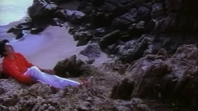 Chembaruthi Movie Songs | Chalakku Chalakku Video Song | Prashanth | Roja | Ilaiyaraaja смотреть онлайн