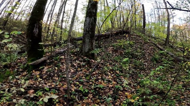 Первый выход на охоту с гончими . смотреть онлайн