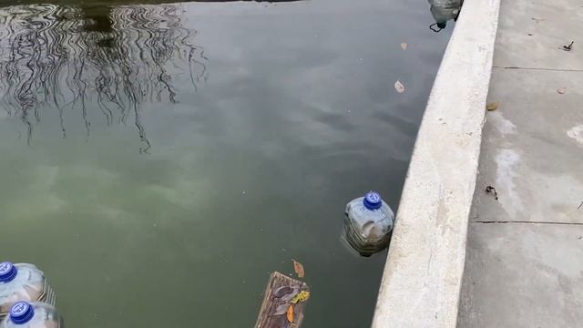 26.10.22. Привезли окна и двери! Завтра ждём монтаж. смотреть онлайн