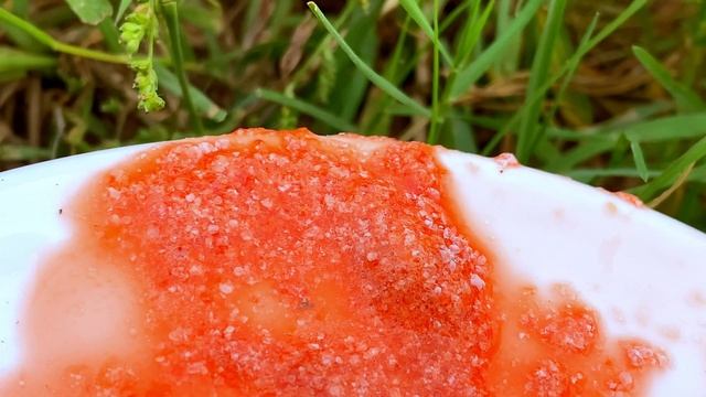 ASMR Crushed snail eggs | Apple snail Eggs ASMR 🐌38 смотреть онлайн