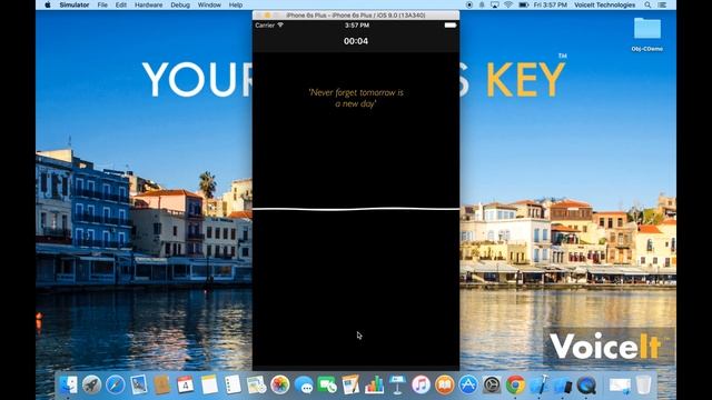 iOS SDK Demo смотреть онлайн