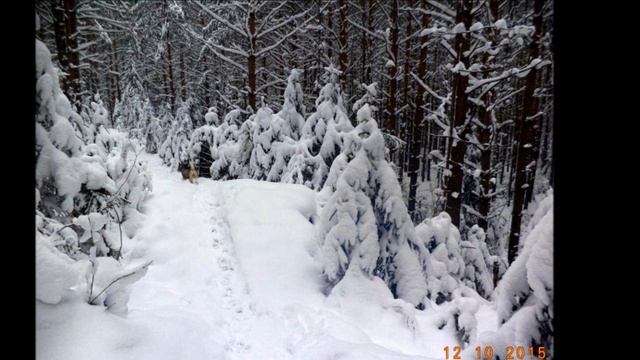 Александровск зимой смотреть онлайн