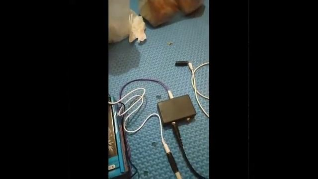 Tutorial Converter Jack Soundcard V8 (Kecil hasil Suara nya) смотреть онлайн