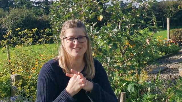 Fruit Tree Guild overview - what to consider before choosing your plants смотреть онлайн