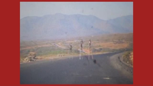 Mac Demarco – Freaking Out The Neighborhood