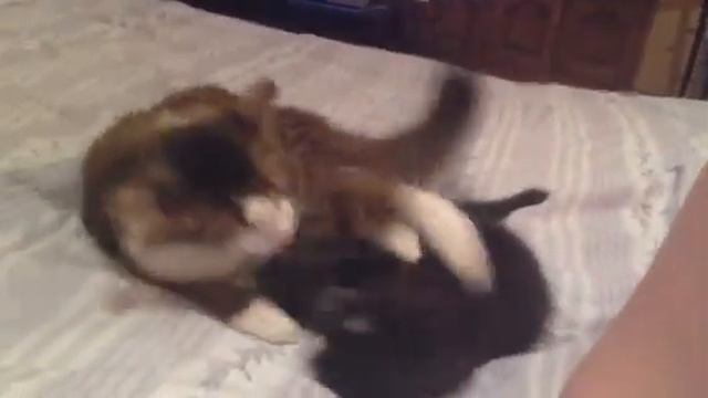 Мать учит сына жизни смотреть онлайн