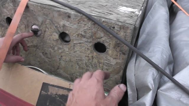 маралий корень смотреть онлайн