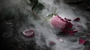 ЛЮБОВЬ И СМЕРТЬ