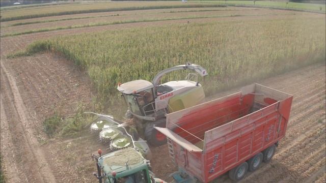 CLAAS Jaguar 950 + Orbis 600 | JOHN DEERE 6250r, 7530p, 7810, 6430p | Insilato Mais 2021 | BANO смотреть онлайн