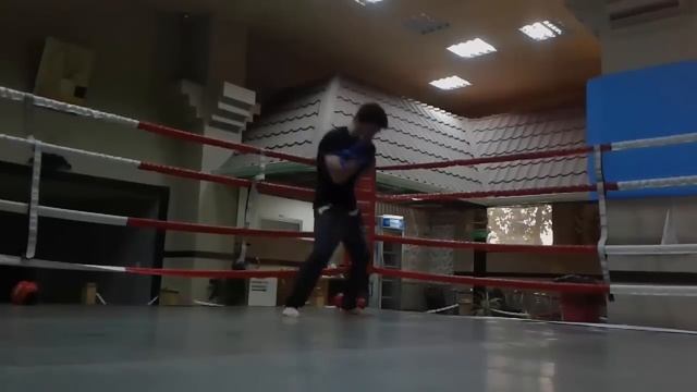 Raul Mamedov-Fighter- (2016) смотреть онлайн