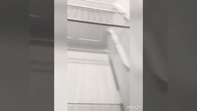 Anukis Compact Refrigerator 4 0 Cu Ft 2 Door Mini Fridge with Freezer Review смотреть онлайн